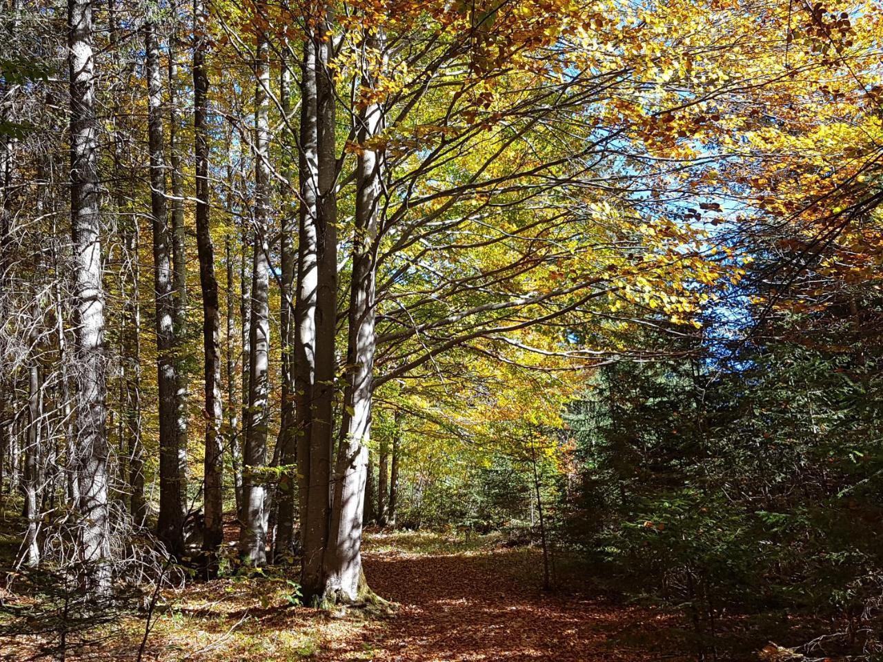 Gaestehaus Alpvital Klais Bagian luar foto
